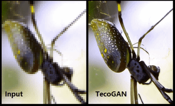 Temporally coherent video generation comparison